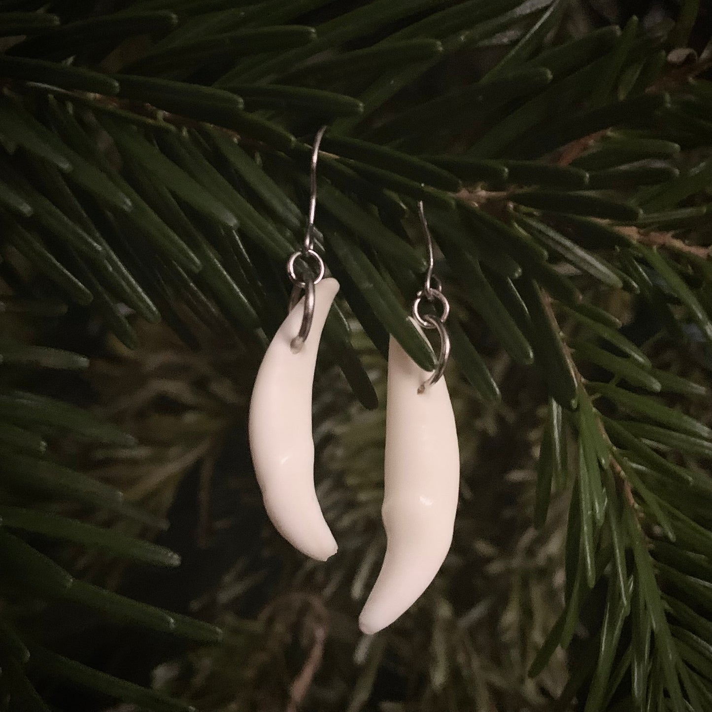 Coyote Tooth Earrings